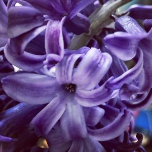 Meet your Posher, Kerry